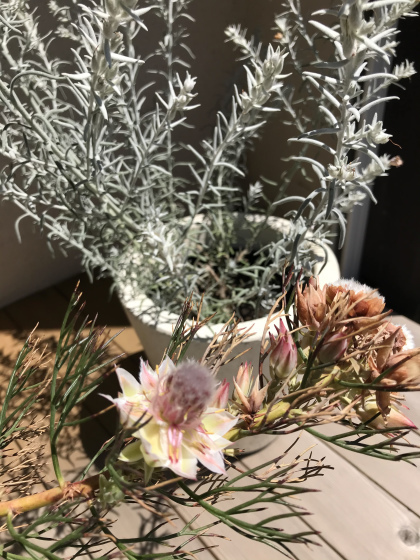 臨時休業のお知らせ_d0103566_16134072.jpeg