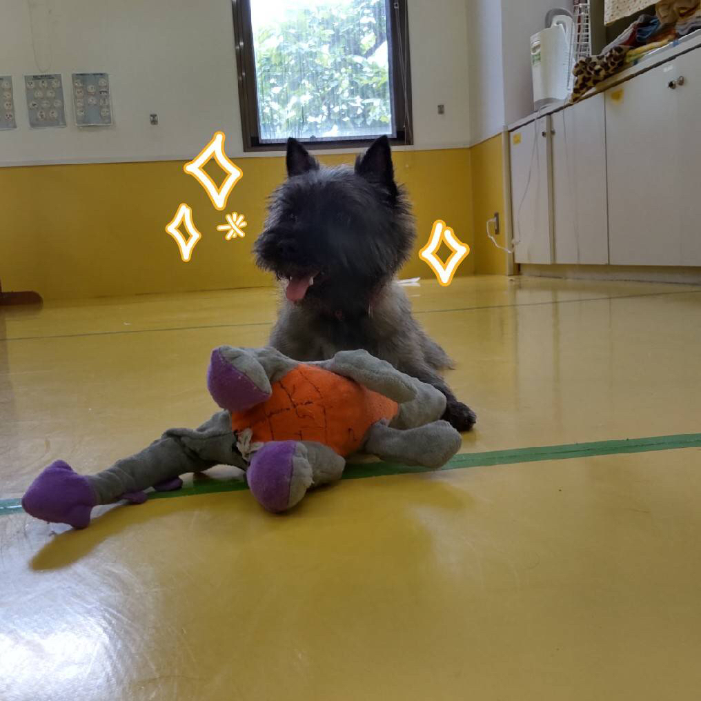 保育園ブログ(*^▽^*)_f0357682_18250487.jpg