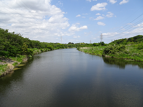 花見川散歩_c0137404_17142648.jpg
