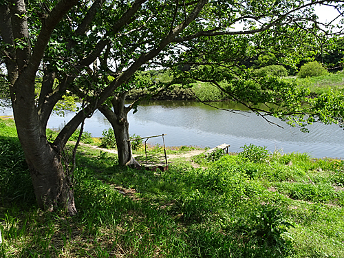 花見川散歩_c0137404_17161233.jpg