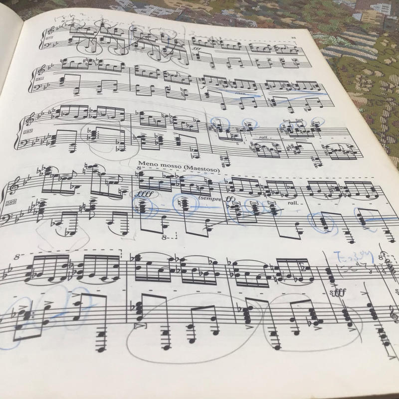 「もうサッサと咲いとこ」っと思ったのか風が強くても咲き出すオールドローズと曲_c0404712_00145870.jpg