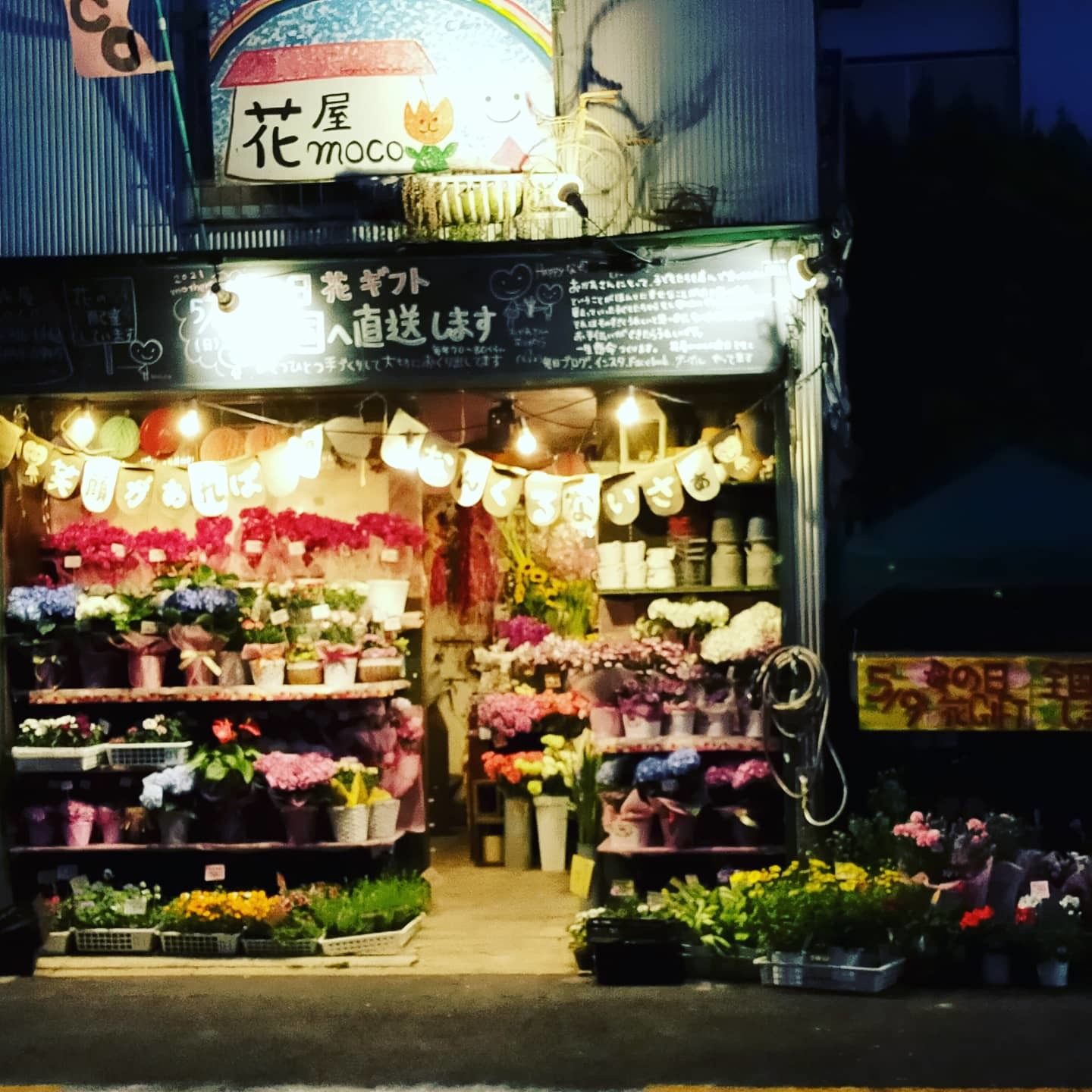 花のブラザーズ 目黒区 都立大の 花屋 Moco 花と 植物で楽しい毎日 一人で全力で営業中 花のブラザーズ 目黒区 都立大の 花屋 Moco 花と 植物で楽しい毎日 一人で全力で営業中