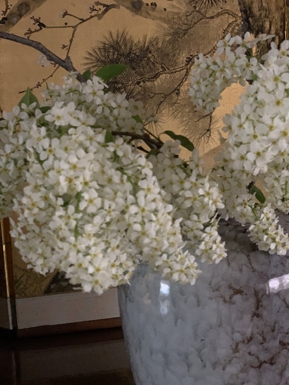 花薫る_f0380954_18551311.jpeg