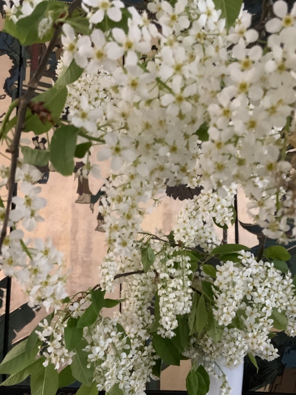 花薫る_f0380954_19055191.jpeg