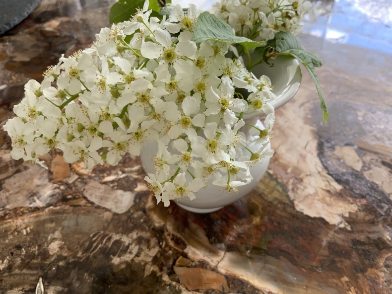 花薫る_f0380954_20034282.jpeg