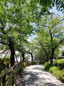 池田山散策_a0061057_21452325.jpg