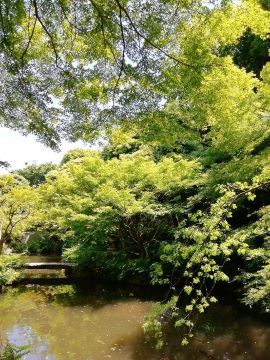 池田山散策_a0061057_21454136.jpg