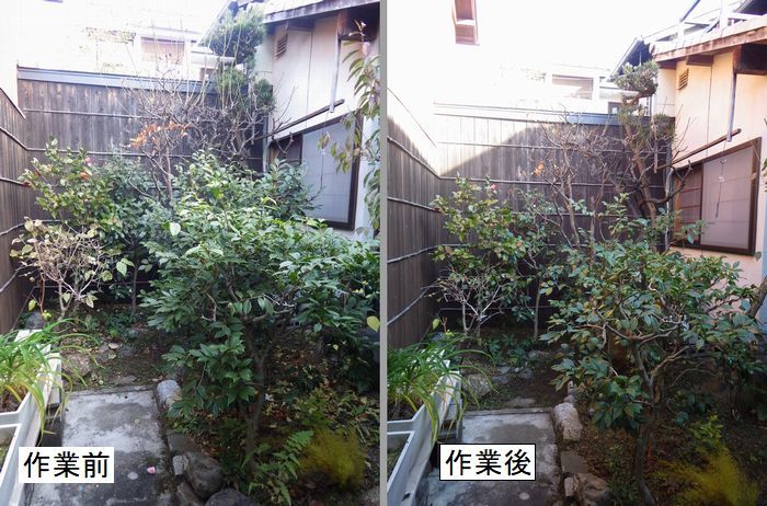町家さんの手入れ 京都市庭木剪定 庭 佳niwaka 庭木1本からの植木屋 町家さんの手入れ 京都市庭木剪定 庭 佳niwaka 庭木1本からの植木屋