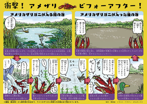 環境省 アメリカザリガニ拡散防止pr 第２弾 ウラケン ボルボックス