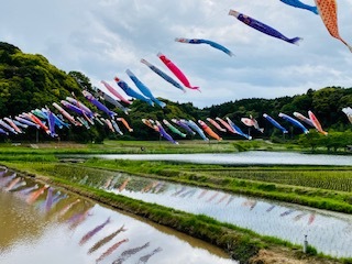 1DAY-千葉旅_c0051529_20234305.jpg