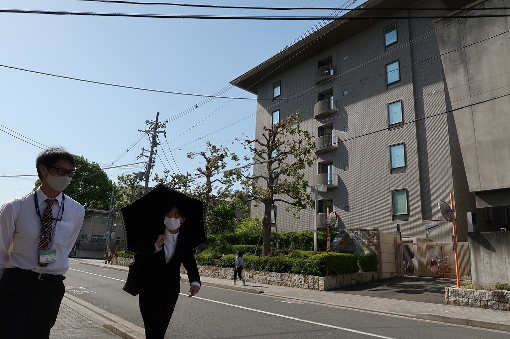 新人さん?_e0374932_08013421.jpg