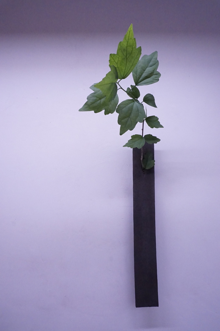 村上躍陶展 明日からです(5/5~5/10)_b0132442_19331754.jpeg