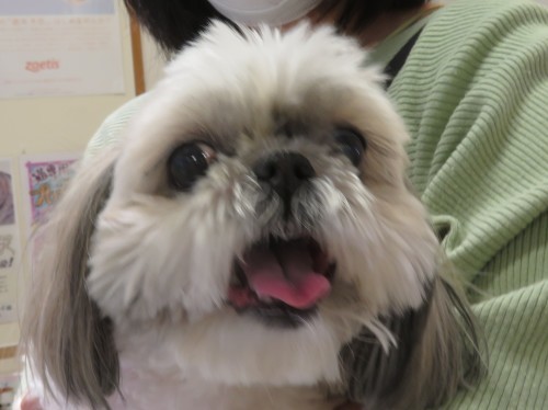 5月 4日の写真_c0174644_11072499.jpg