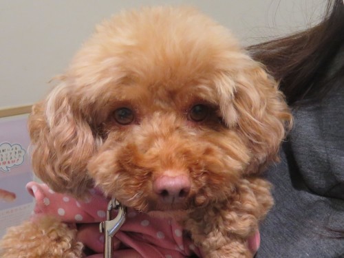 5月 4日の写真_c0174644_11462683.jpg