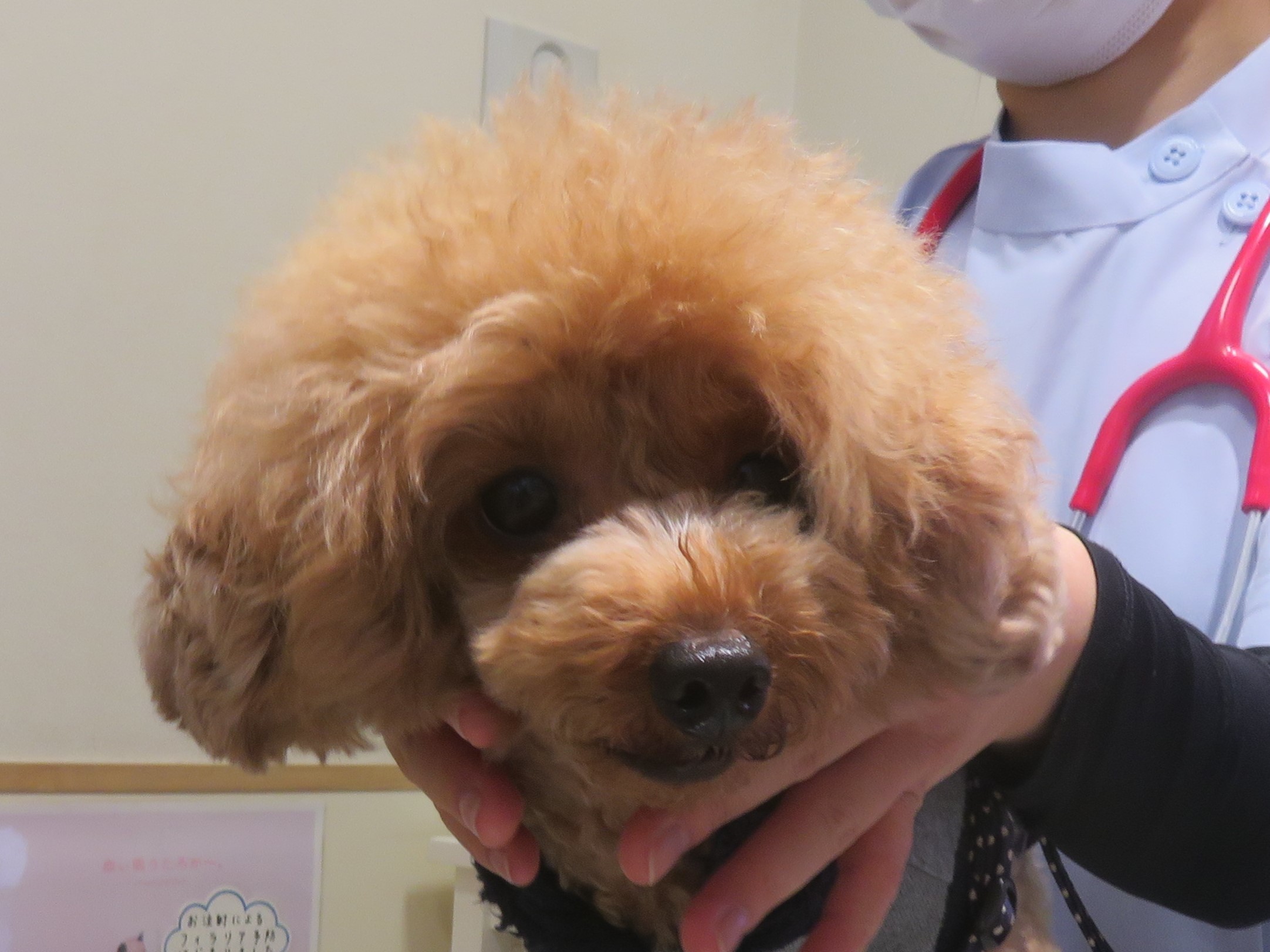 5月 4日の写真_c0174644_12370706.jpg