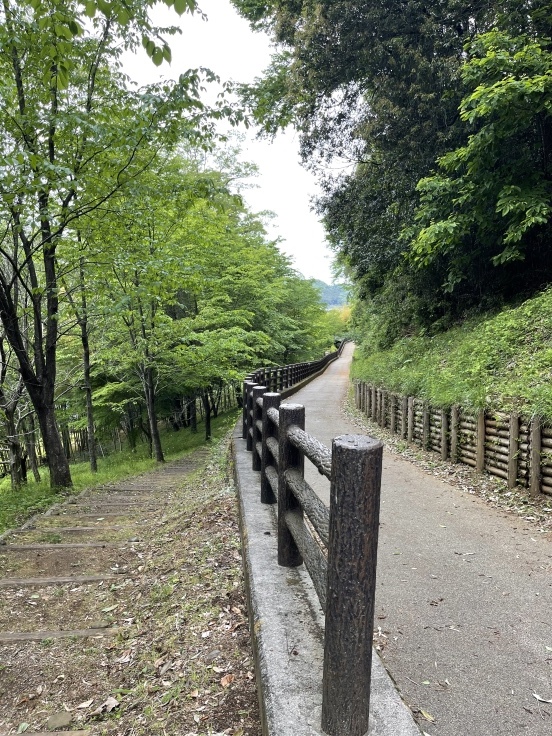 久保田酒造から 津久井湖まで(5/3)_c0212604_12064435.jpeg