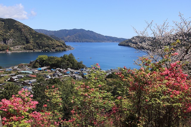 城山公園散策(その2)(撮影:4月7日)_e0321325_14262146.jpg