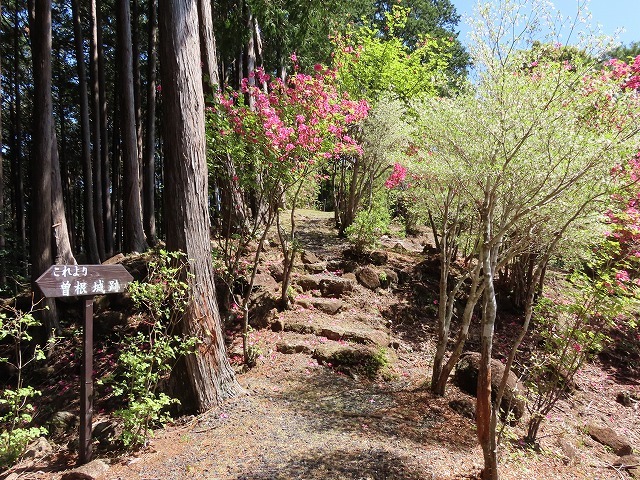 曾根城跡散策(その1)(撮影:4月7日)_e0321325_15094949.jpg