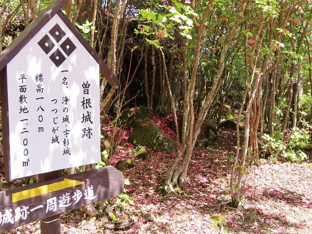 曾根城跡散策(その1)(撮影:4月7日)_e0321325_15110864.jpg