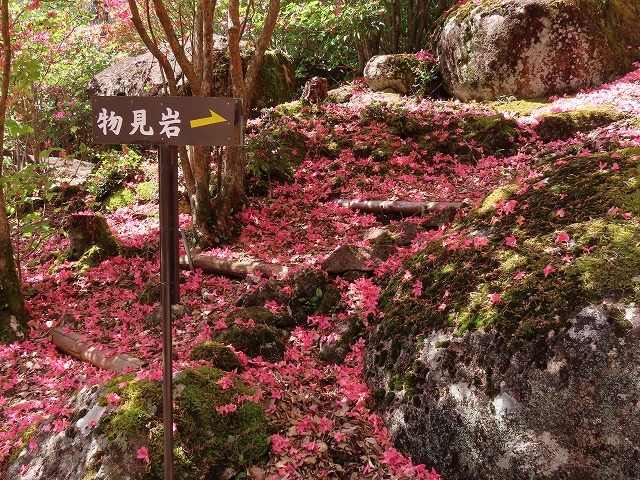 曾根城跡散策(その1)(撮影:4月7日)_e0321325_15145576.jpg