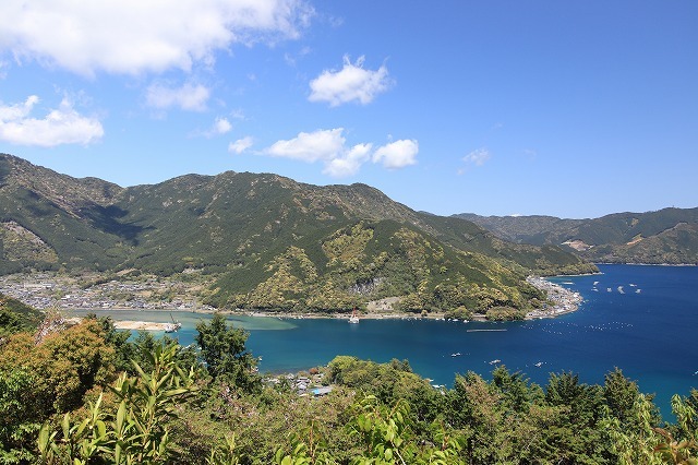曾根城跡散策(その1)(撮影:4月7日)_e0321325_15155979.jpg