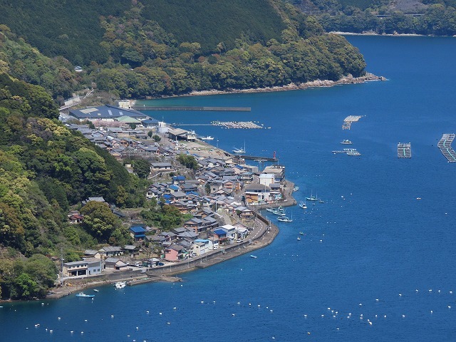 曾根城跡散策(その1)(撮影:4月7日)_e0321325_15184539.jpg