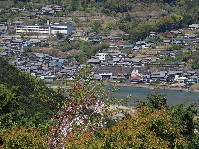 曾根城跡散策(その1)(撮影:4月7日)_e0321325_15193434.jpg