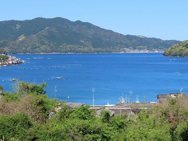 曾根城跡散策(その3)(撮影:4月7日)_e0321325_17001500.jpg