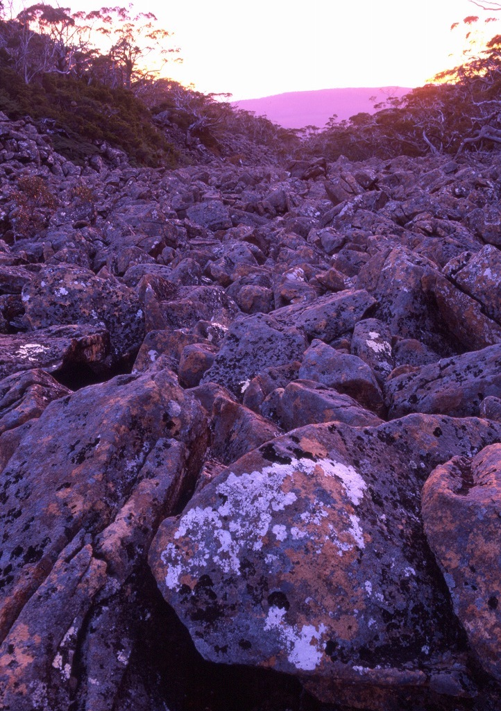 Tasmania Talking to Spirit of The Land_f0050534_11102864.jpg