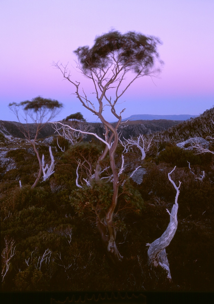 Tasmania Talking to Spirit of The Land_f0050534_11122616.jpg