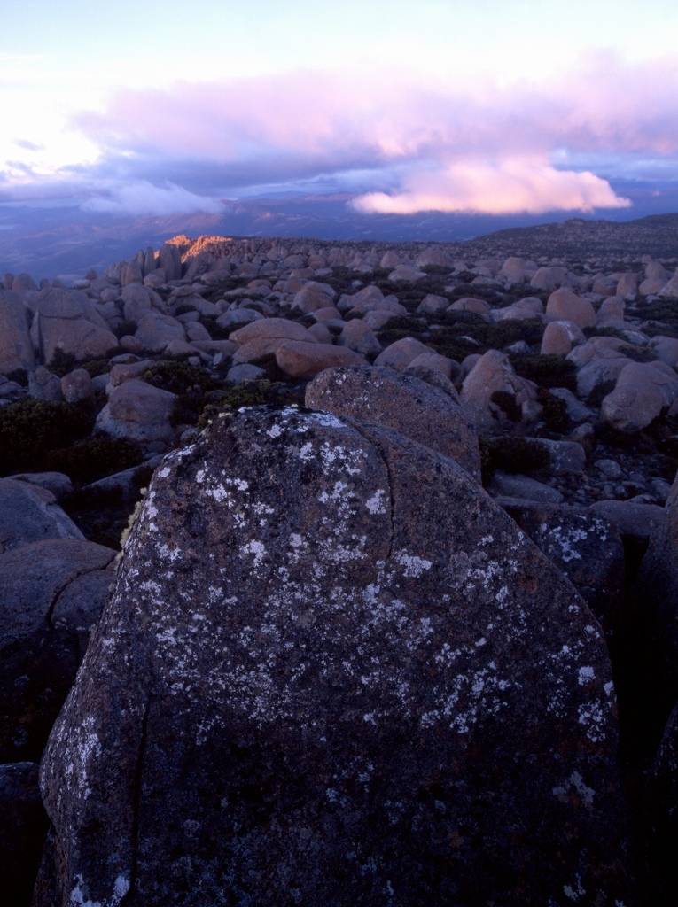 Tasmania Talking to Spirit of The Land_f0050534_11135551.jpg