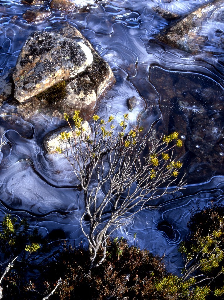 Tasmania Talking to Spirit of The Land_f0050534_11145702.jpg