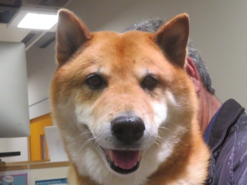 5 月 5 日の写真_c0174644_09423574.jpg