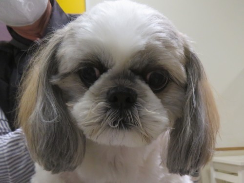 5 月 5 日の写真_c0174644_09582083.jpg