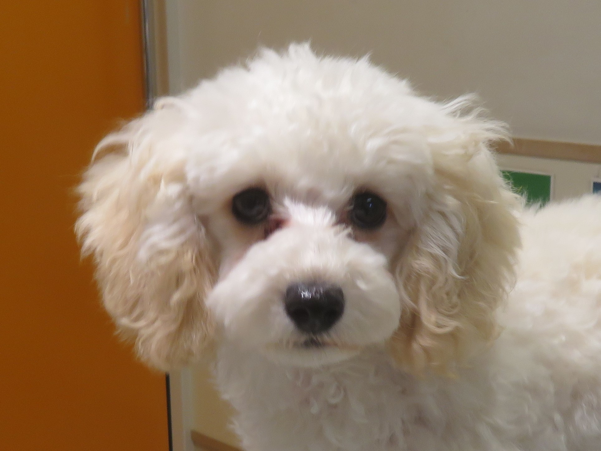5 月 5 日の写真_c0174644_11320316.jpg