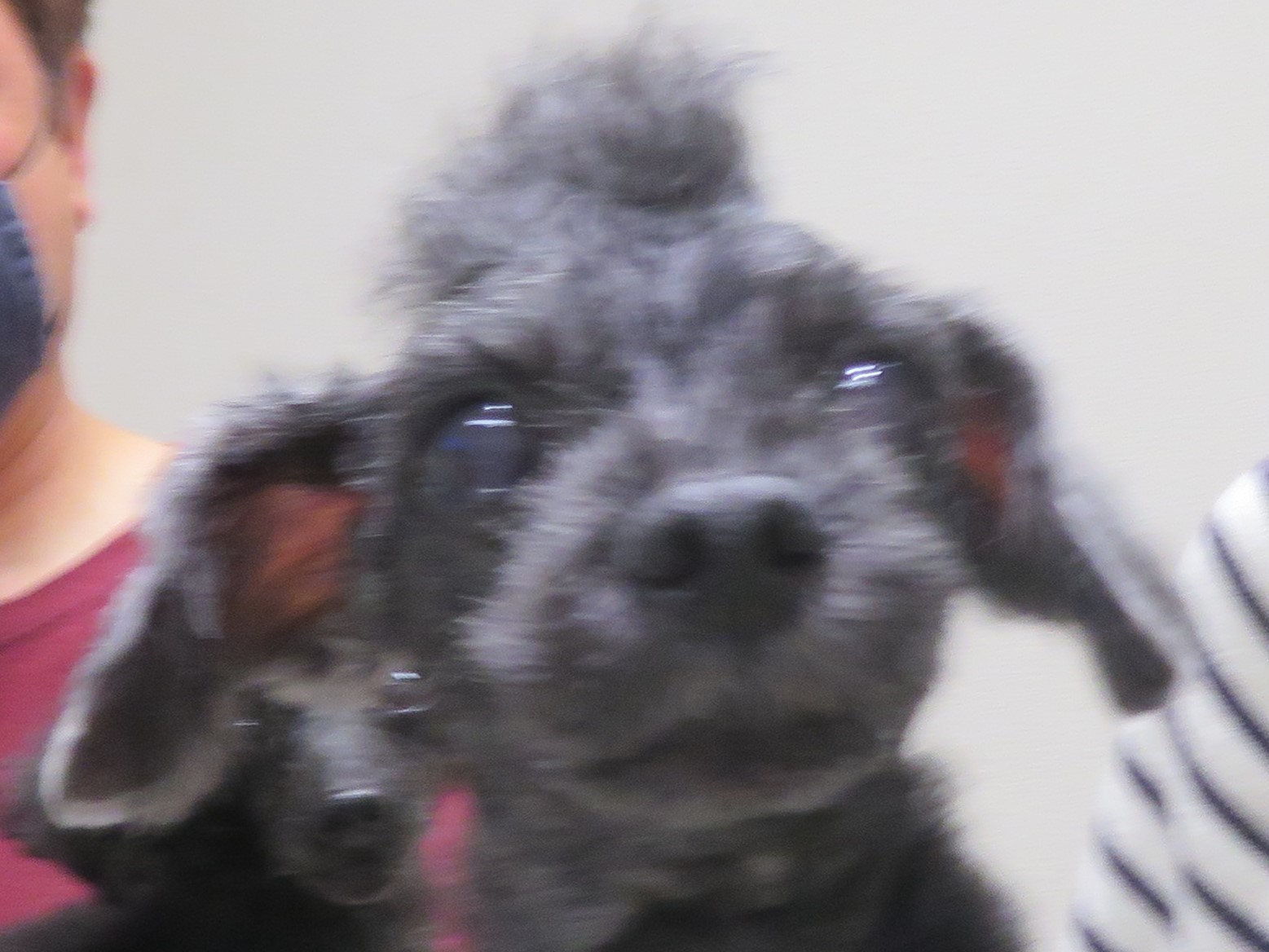 5 月 5 日の写真_c0174644_13162492.jpg