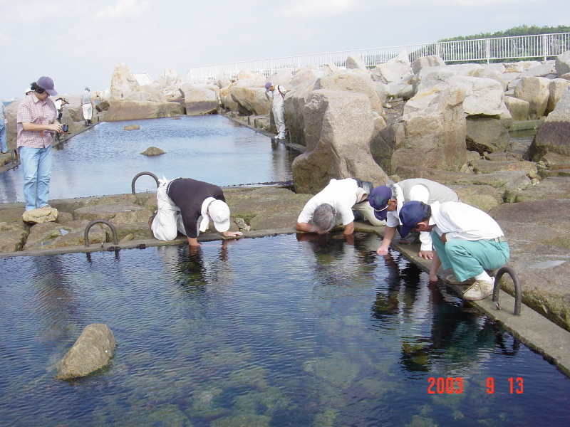 『自然保護協会：せんなん里海公園周辺視察』来訪_c0108460_11423165.jpg