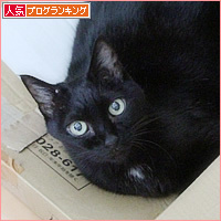 永眠したヒナの誕生日_a0389088_12194144.jpg