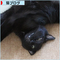 永眠したヒナの誕生日_a0389088_12194150.jpg