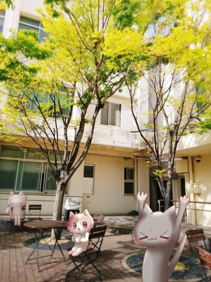 Twitter写真絵日記まとめ⑨_a0201203_15102922.jpg