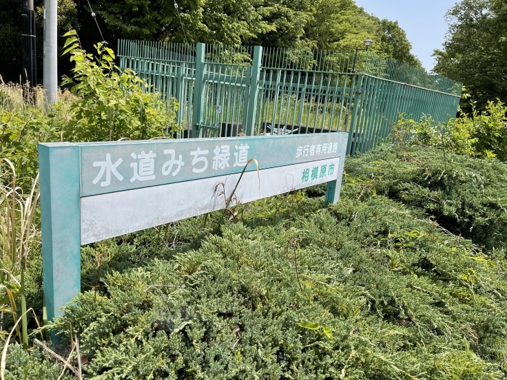水道みち緑道 ウォーキング(5/4)_c0212604_06244944.jpeg