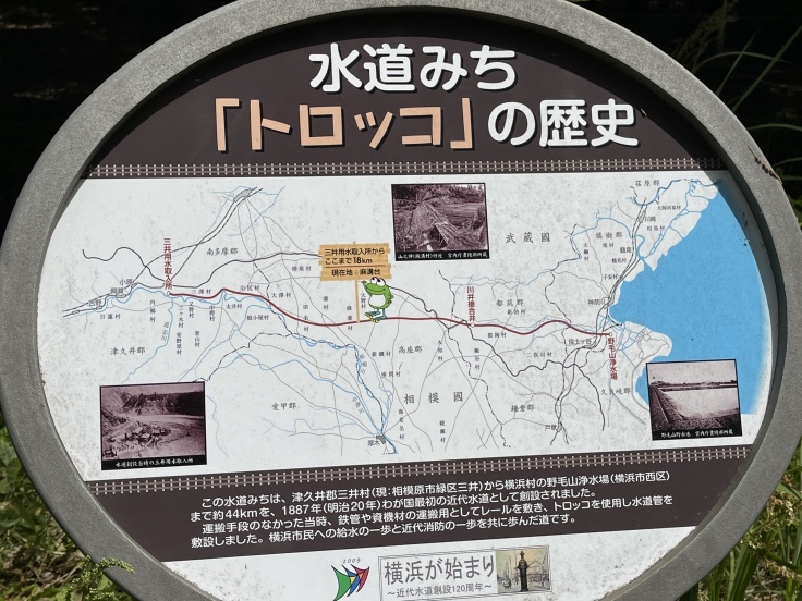 水道みち緑道 ウォーキング(5/4)_c0212604_06270462.jpeg
