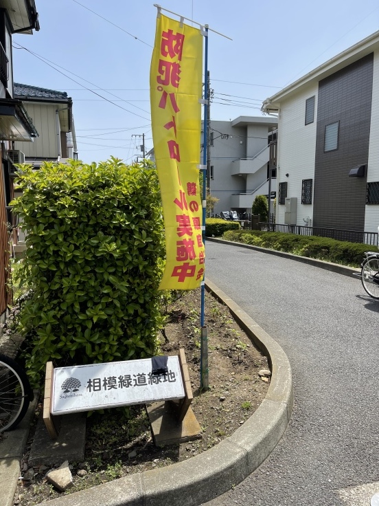 水道みち緑道 ウォーキング(5/4)_c0212604_06292437.jpeg