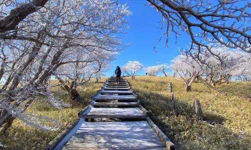 タマケン山岳部～山行記録一覧_a0165316_11441520.jpg