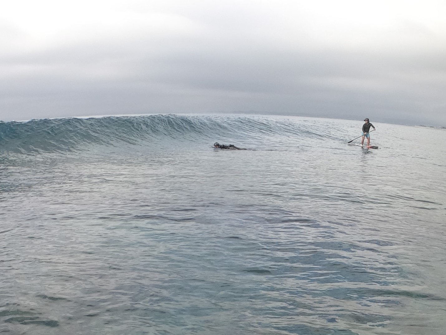 純粋に波乗りを楽しむ Lets パドリング