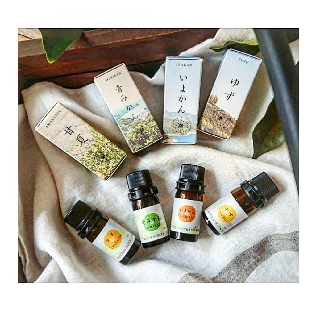 雑貨shop Bee Balm 店舗 新着雑貨情報 雑貨shop Bee Balm 店舗 新着雑貨情報