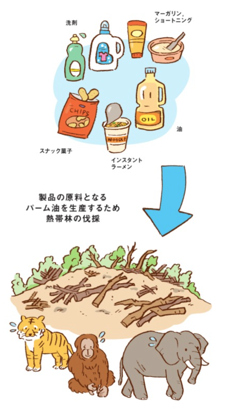 京都市生物多様性プラン21 30にイラストを描きました Diary イラストレーター にしむらさちこ