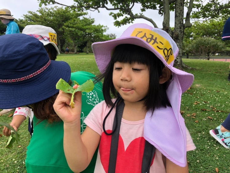 青空ようちえん〔週末〕草木で遊ぼう！（5/5）身近にある草木を集めながら探検だ！きれいな木の実に、葉っぱ飛行機、気付けば宝物でいっぱい！_d0363878_13411467.jpg