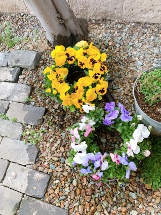 楽しみを…。_d0178587_22543513.jpeg