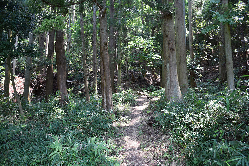 北近江浅井氏の居城、小谷城攻城記。 その1 <登山口~金吾丸>_e0158128_14501387.jpg